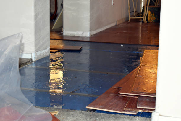 Professional Water Damage Restoration technician working in Alpine, AL